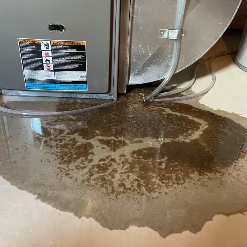 Appliance Leak Cleanup in Perris, CA